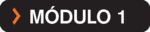 modulo1